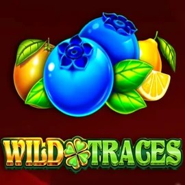 Enjoy Wild Traces by Amusnet Interactive – logo hosted on dragoniaa.gr